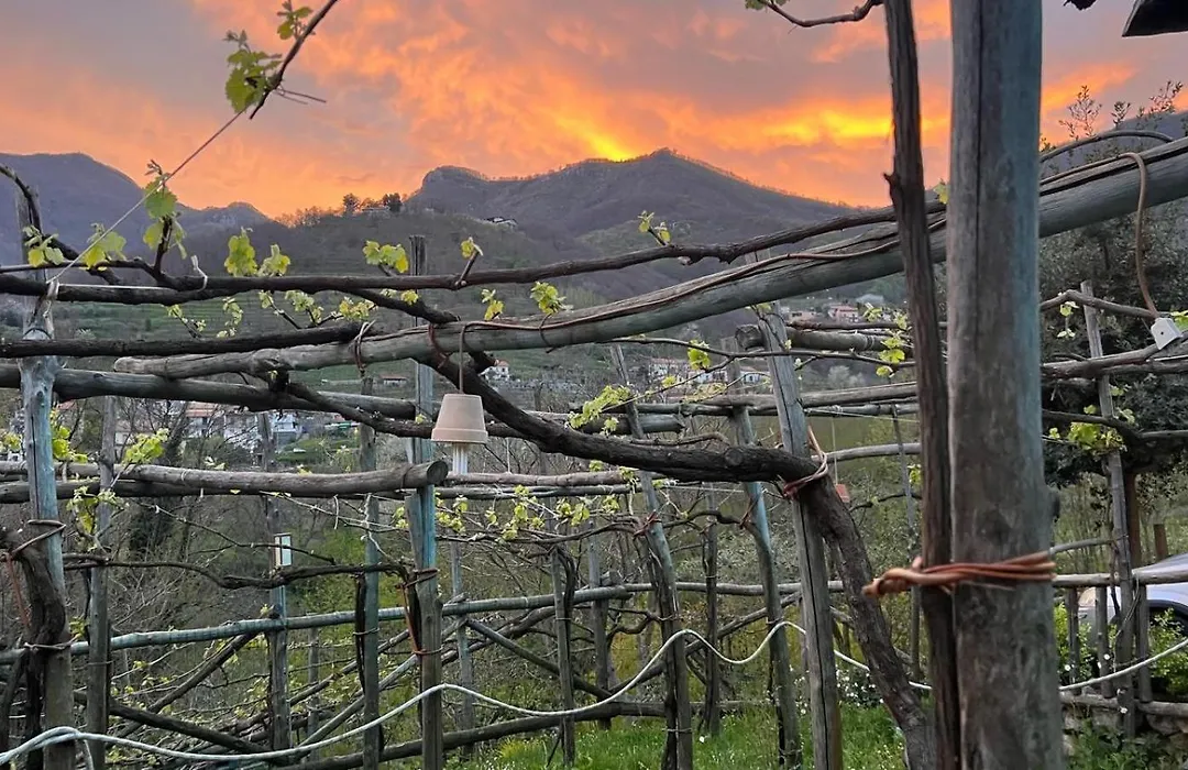 Agriturismo Il Tintore-1